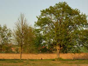 Landsitz Rügen